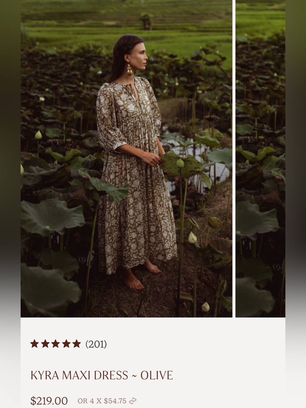 Daughters of India Kyra Maxi Dress